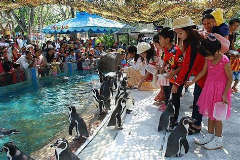 Best 10 Hotels near Dusit Zoo.